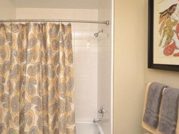 Curved shower rods in bathrooms